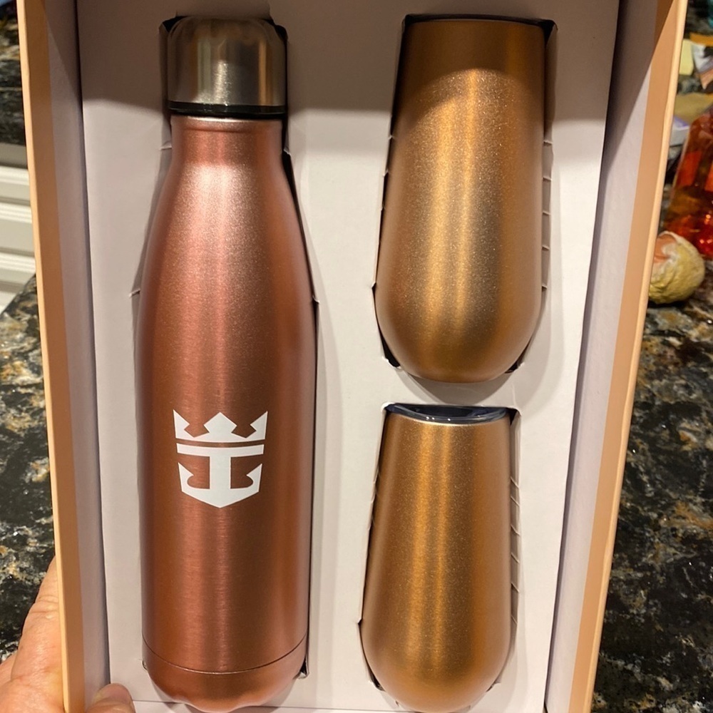 Drink set insulated with lids. NWT